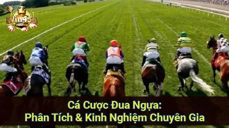 Cá Cược Đua Ngựa: Phân Tích & Kinh Nghiệm Chuyên Gia 4 ca-cuoc-dua-ngua